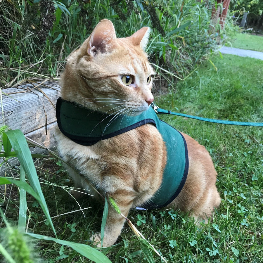Kitty Holster® Escape-Resistant Cat Harness – Made in USA