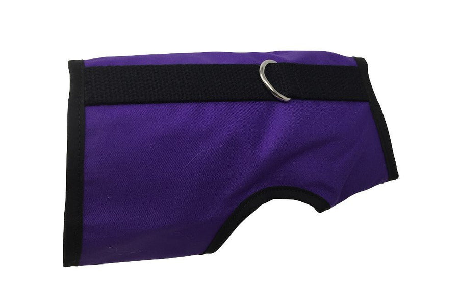 Kitty Holster® Escape-Resistant Cat Harness – Made in USA