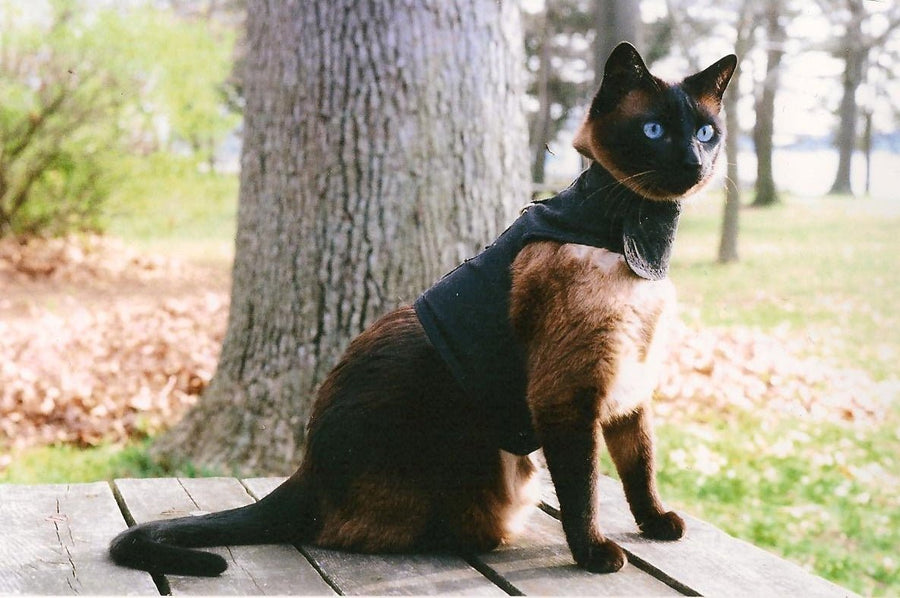 Kitty Holster® Escape-Resistant Cat Harness – Made in USA