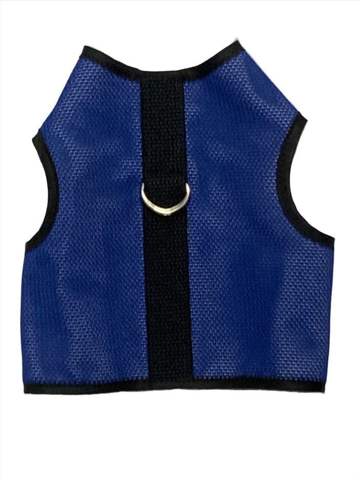 Kitty Holster Koolnit Mesh cat harness in Royal Blue with black trim and a metal D-ring