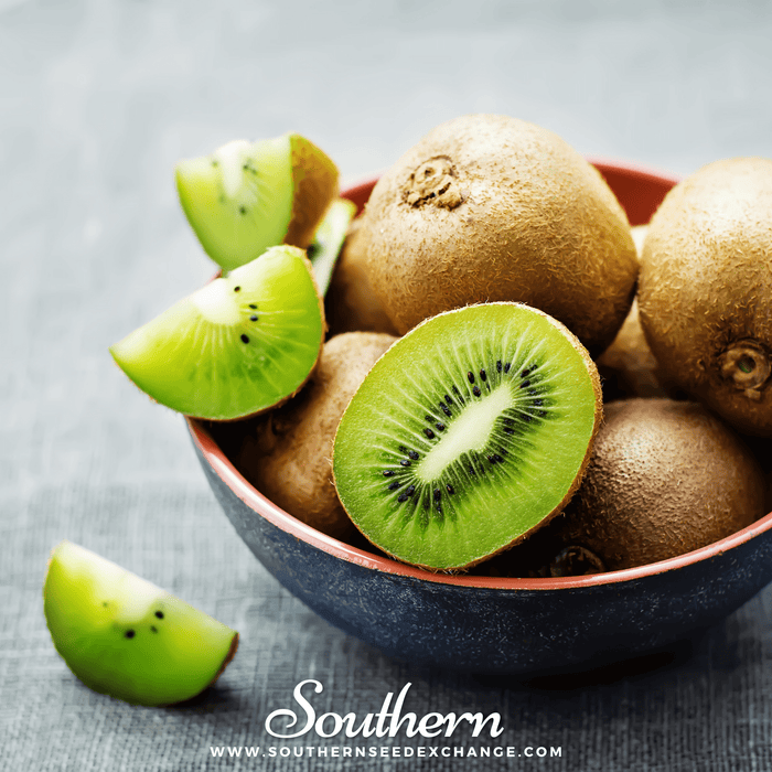 Kiwi Fruit