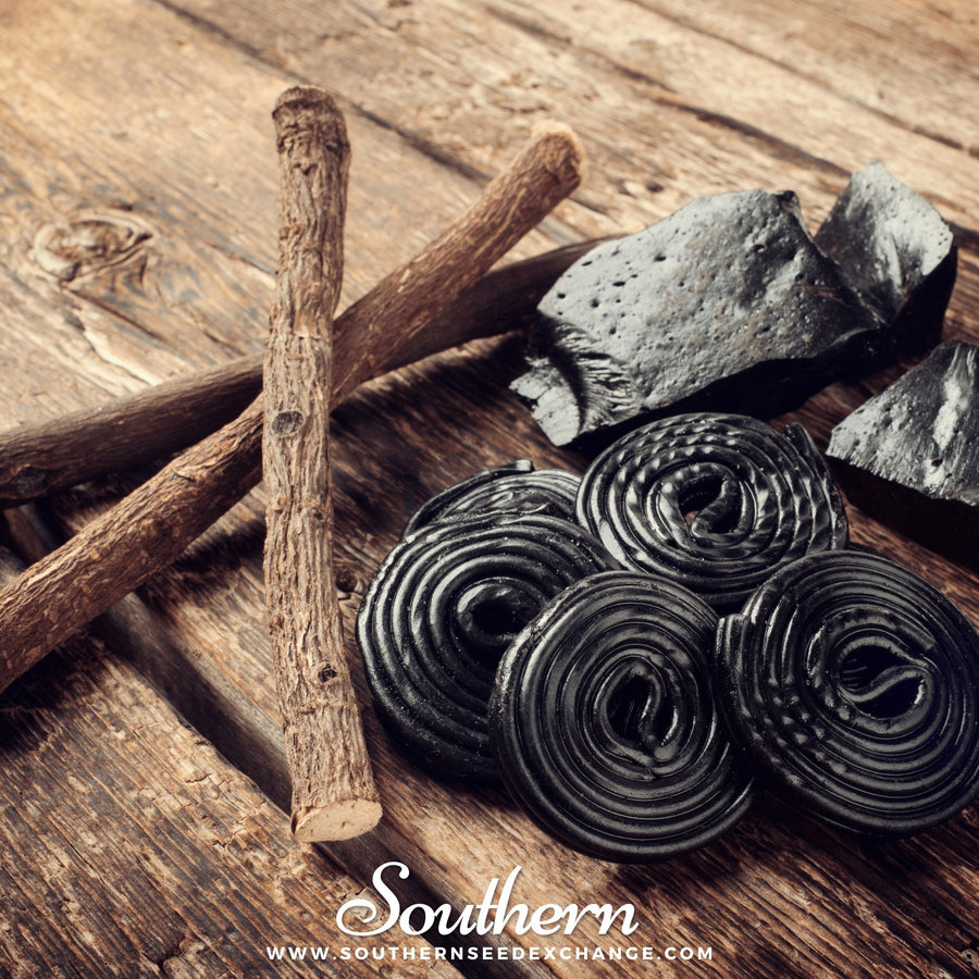 Licorice
