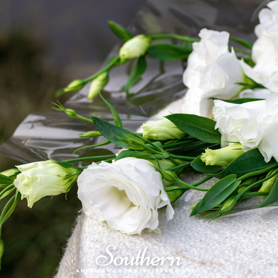 Sapphire White Lisianthus