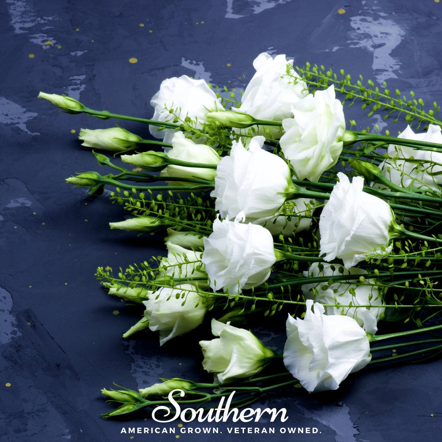Sapphire White Lisianthus