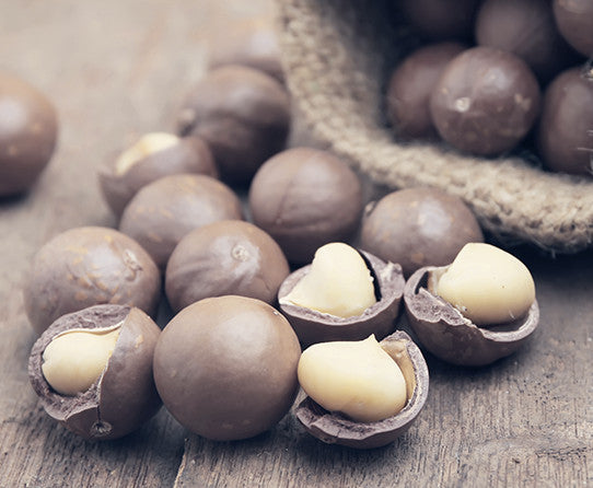 Macadamia nuts pictured as flavor inspiration for Macadamia Nut coffee