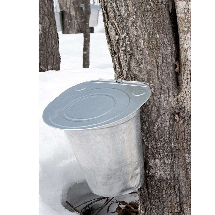 Maple Syrup, 100% Pure Michigan  - 8 Fl. Oz. Bottle - product image 8