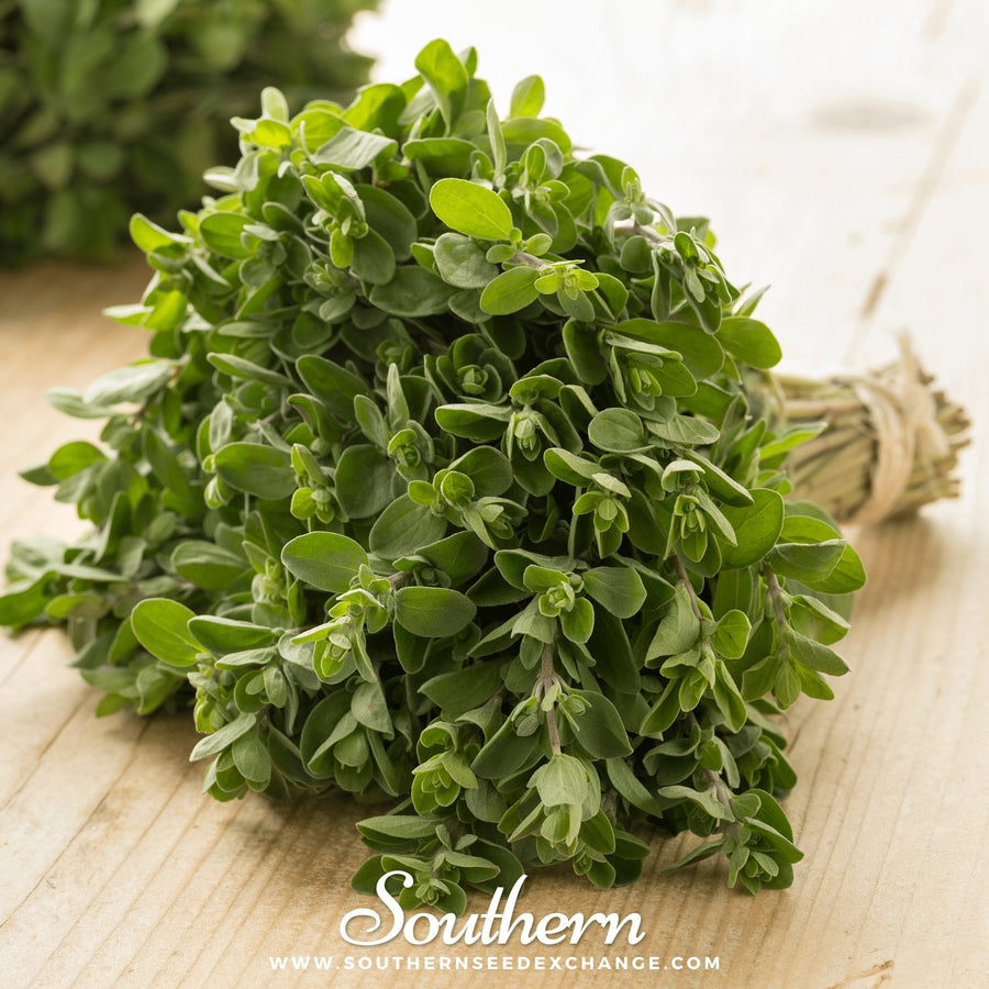 Sweet Marjoram – 100 Seeds