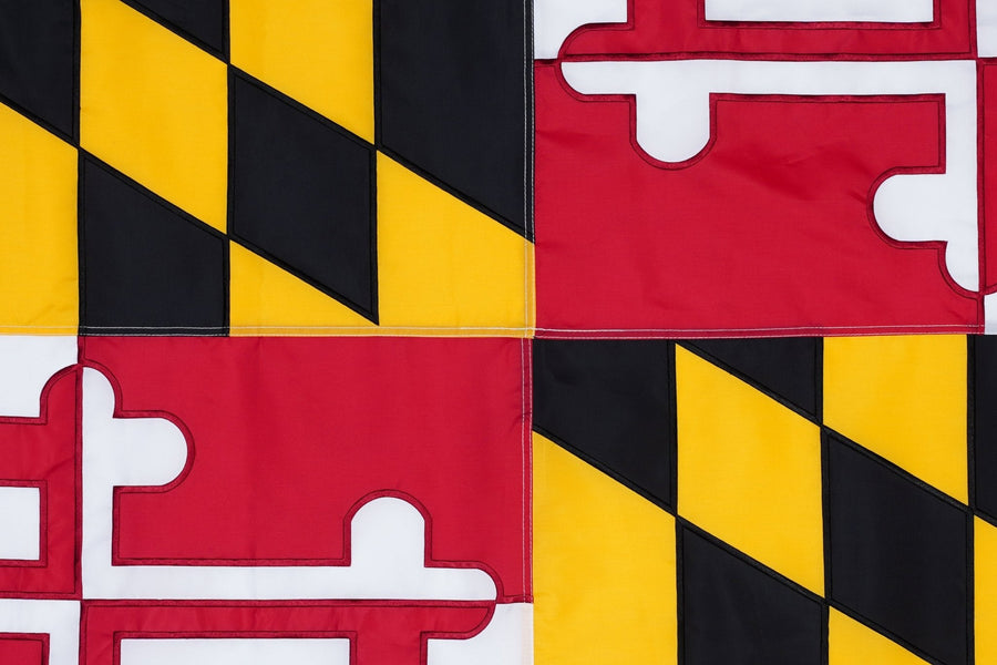 Maryland state flag close-up with black gold red and white heraldic pattern