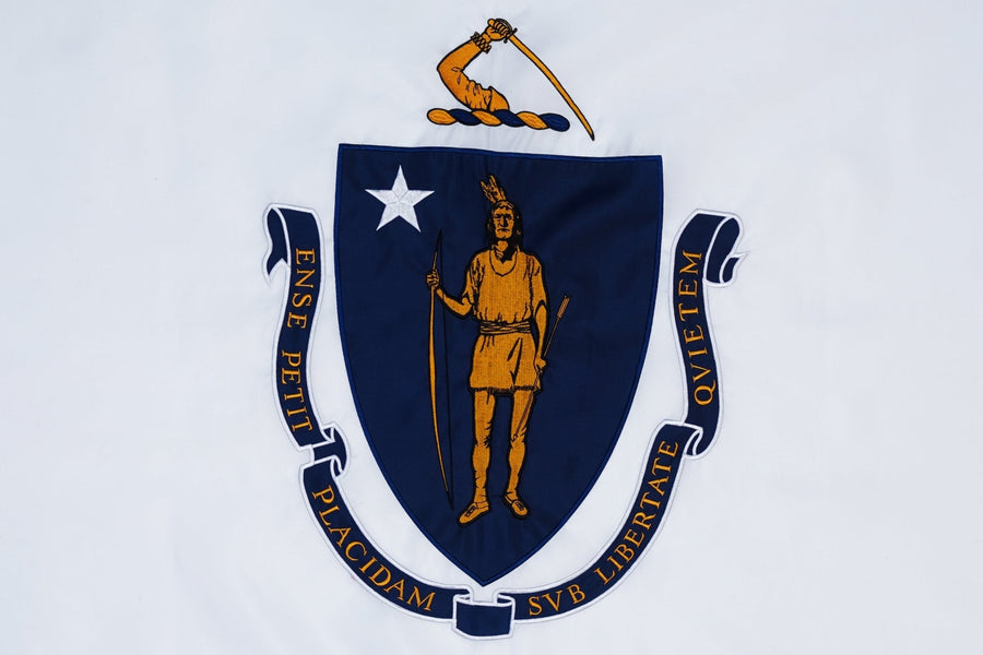 Massachusetts state flag close-up with central Commonwealth emblem