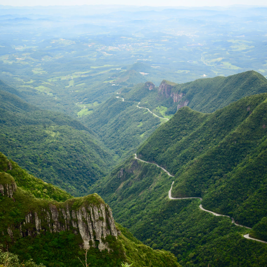 Green mountain valley in the Brazil Matas de Minas coffee image gallery