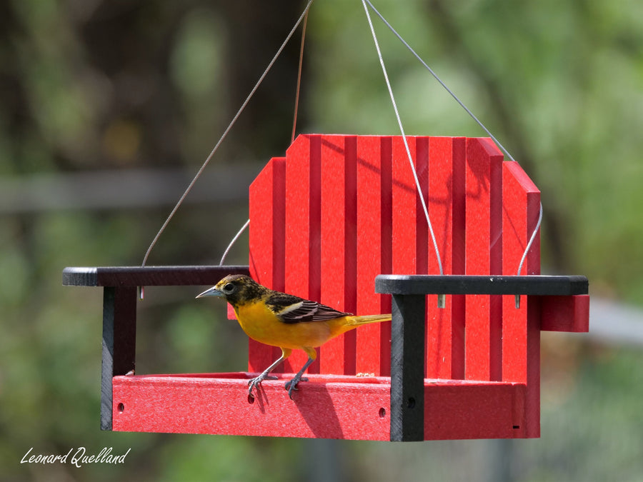 Birds visiting a porch-swing-style feeder
