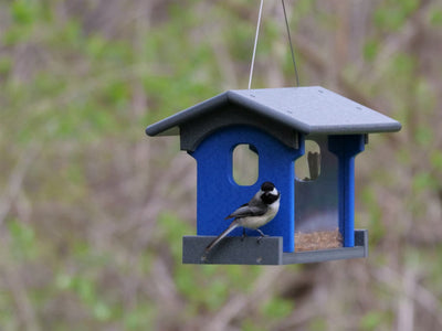 Bird Feeders & Birdhouses