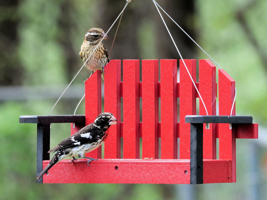 Birds visiting a porch-swing-style feeder