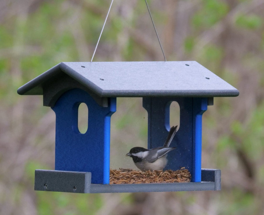 Amish-Made Bluebird Feeder, Made With Poly Lumber, For Feeding Mealworms