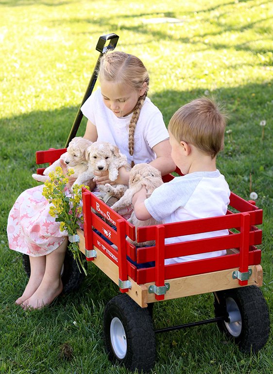 Children beside a red hardwood-and-steel wagon outdoors
