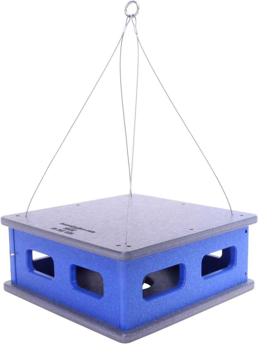 Block House Bluebird Mealworm Feeder