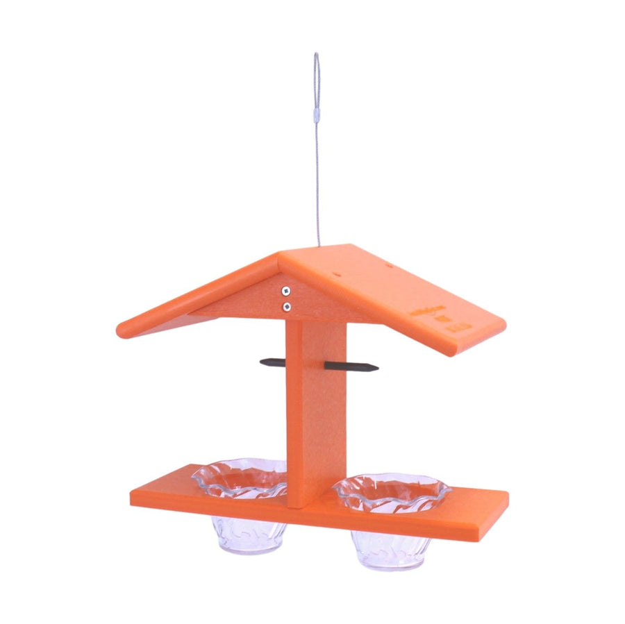 Double-Cup Oriole Jelly & Orange Feeder