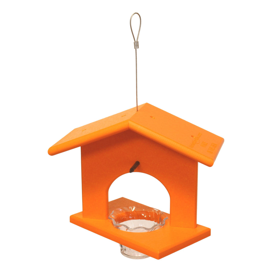 Hanging Oriole Jelly & Orange Feeder
