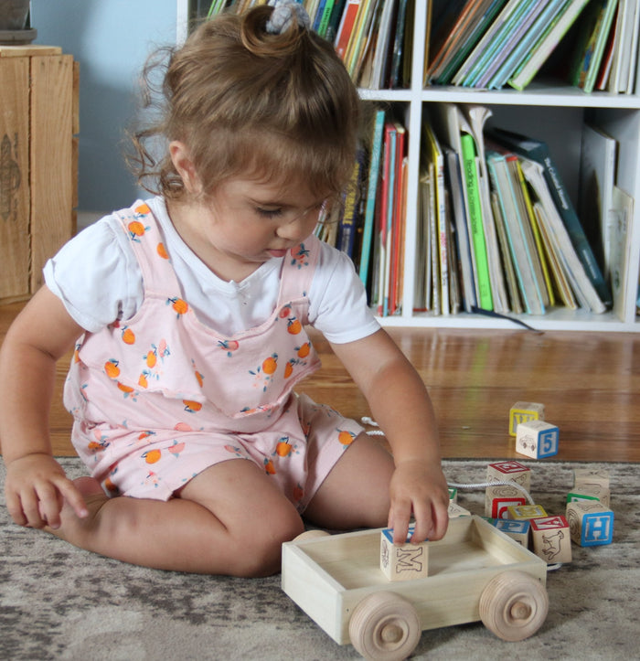 Amish-Made Wooden ABC Block Toddler Pull-String Wagon Toy