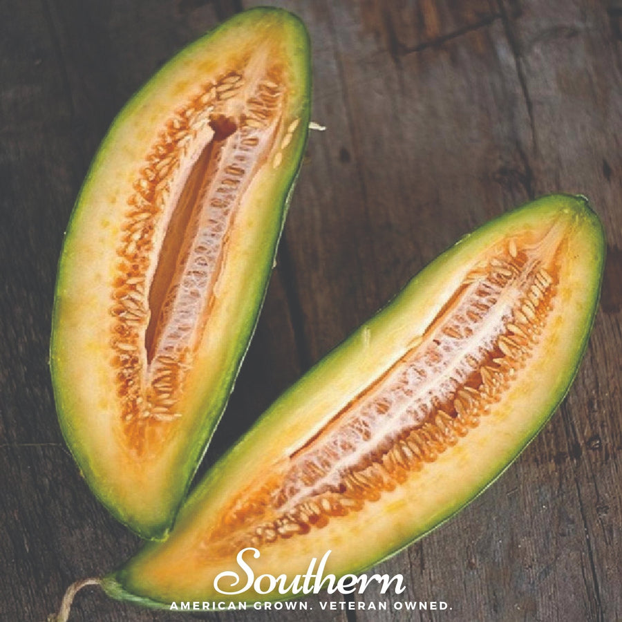 Banana Melon
