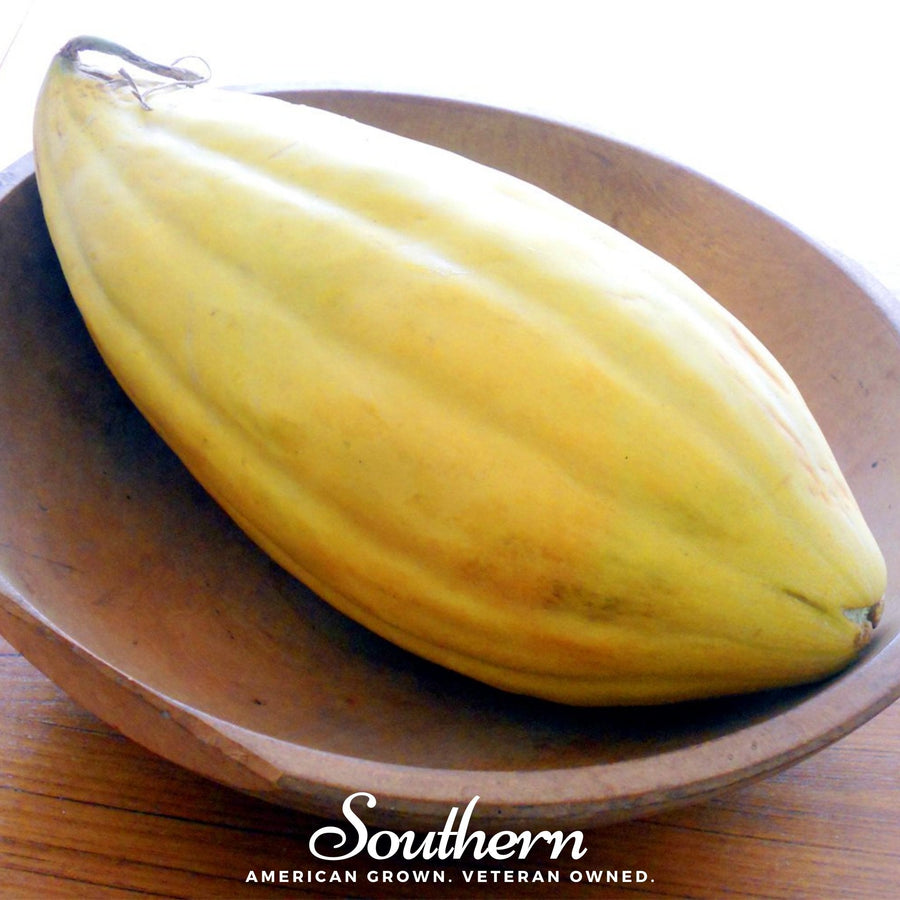 Banana Melon
