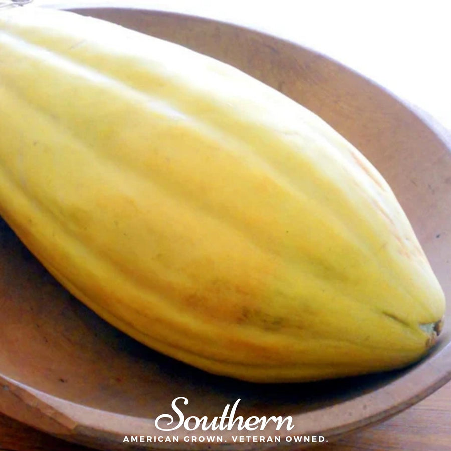 Banana Melon