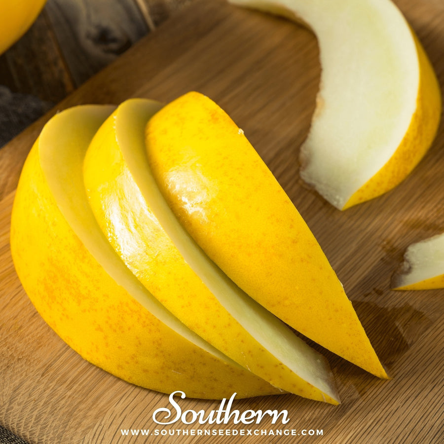 Canary Melon