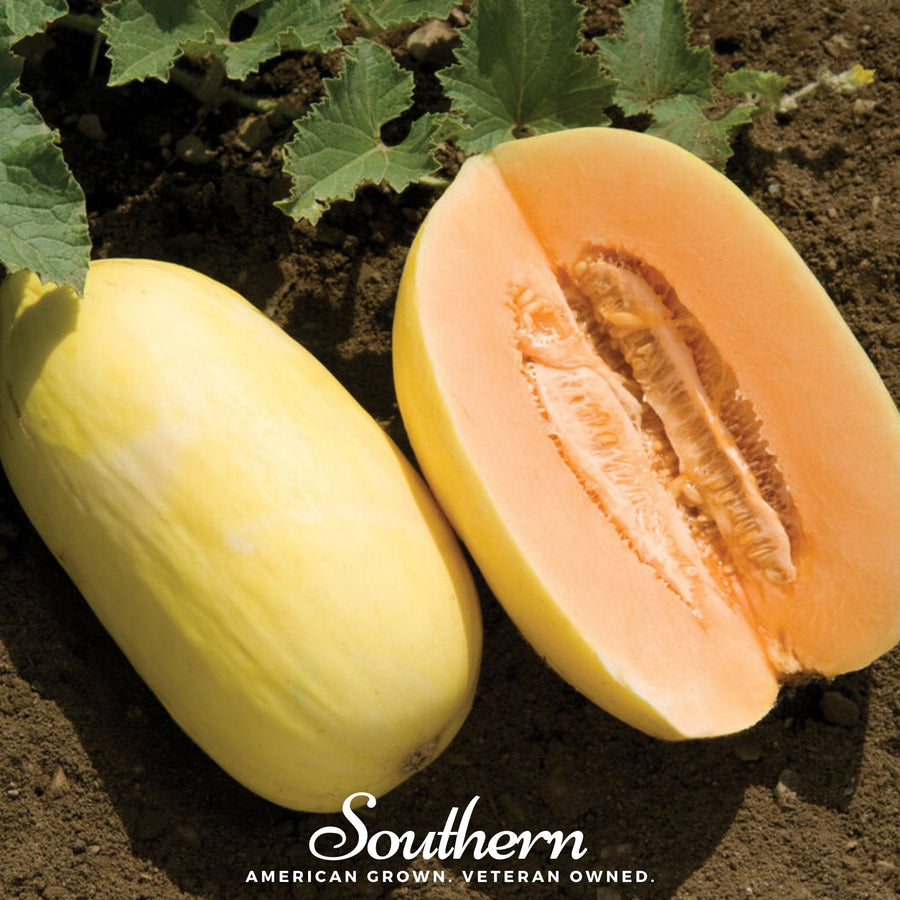 Crenshaw Melon