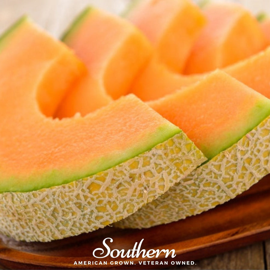 Planter’s Jumbo Melon