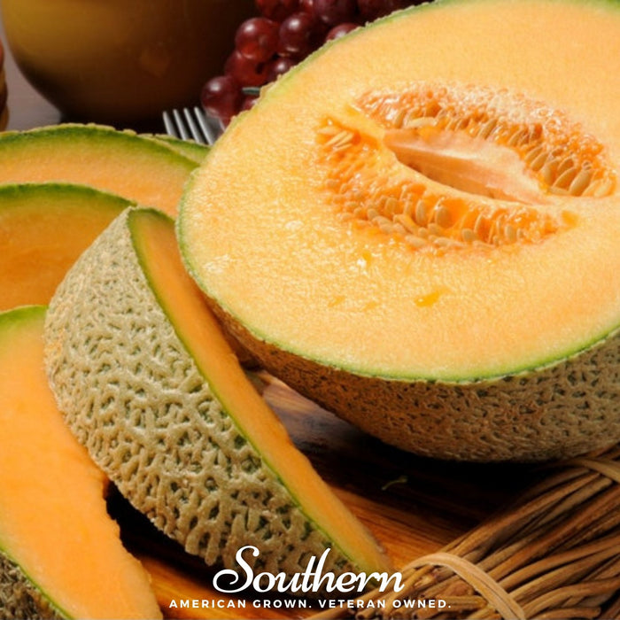Planter’s Jumbo Melon