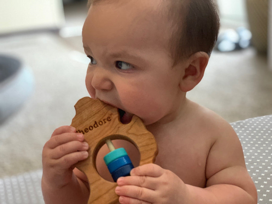 Michigan (Lower Peninsula) cherry wood rattle in a lifestyle setting