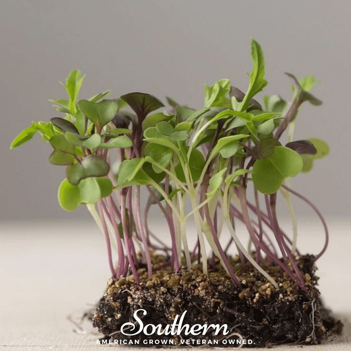 Southern Mild Microgreen Mix