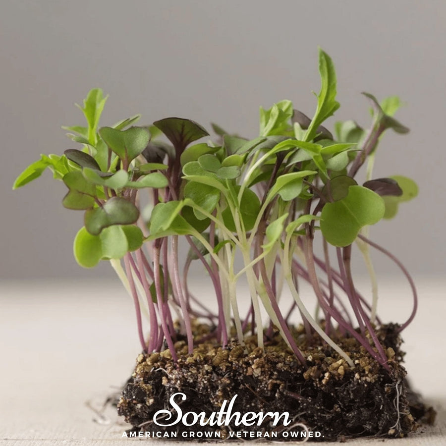 Southern Mild Microgreen Mix