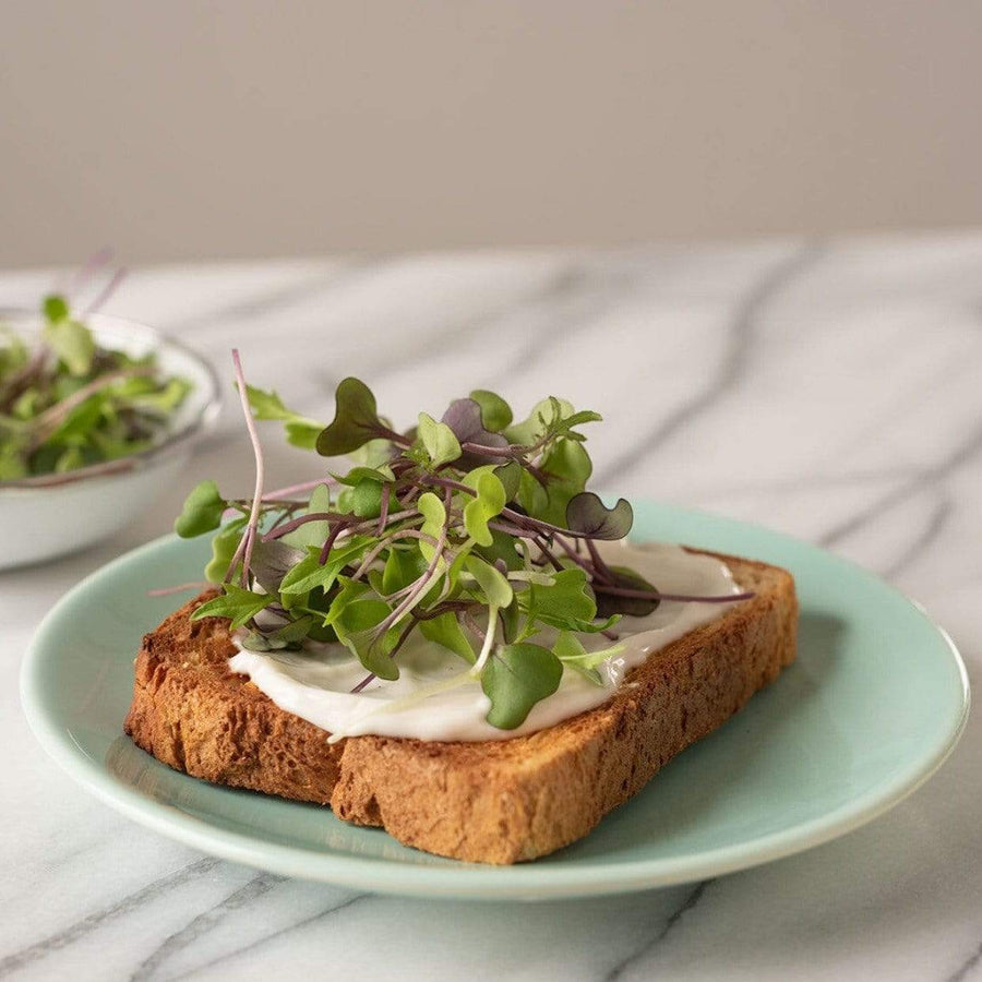 Southern Mild Microgreen Mix
