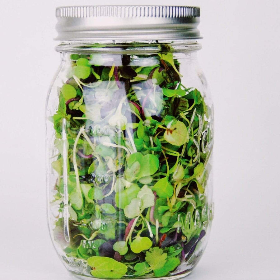 Southern Mild Microgreen Mix