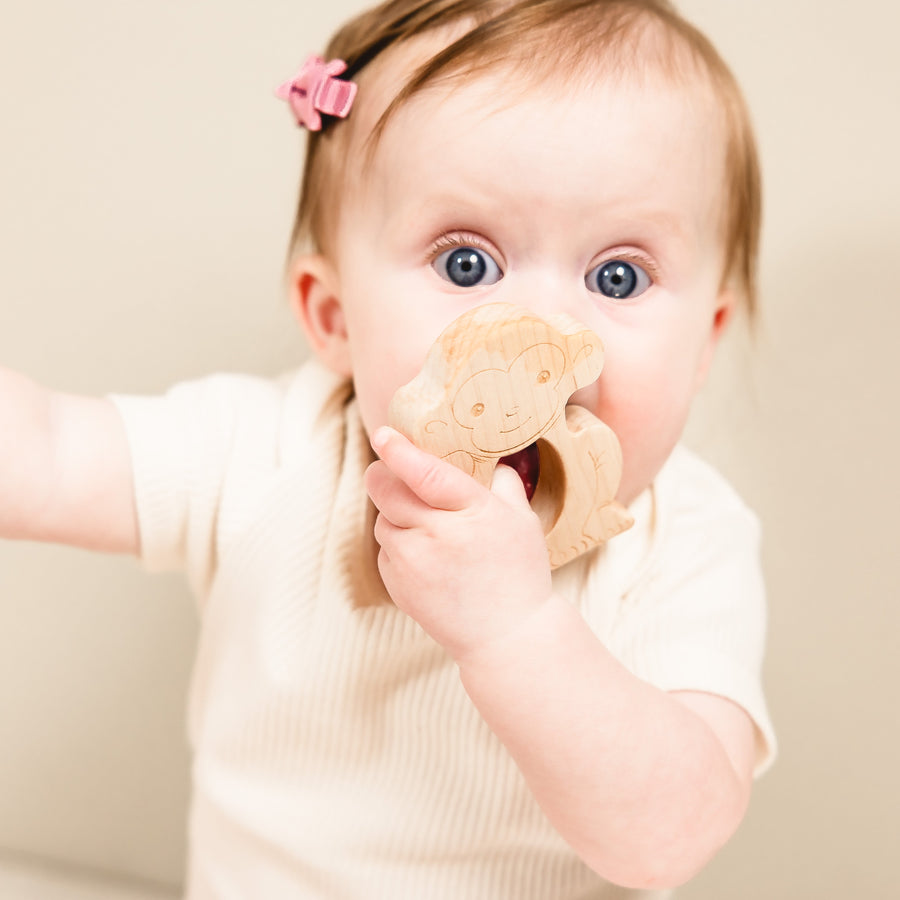 Baby holding a wooden animal-shaped teether