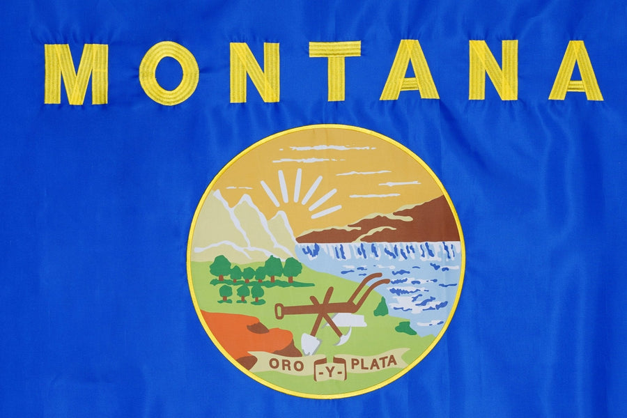 Montana state flag close-up with seal and MONTANA lettering
