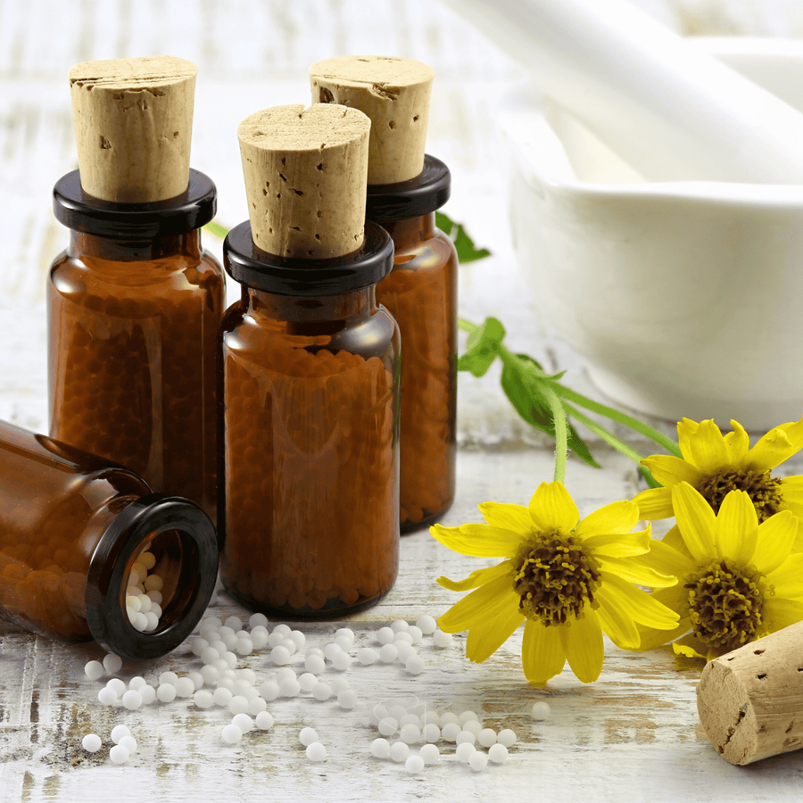 Mountain Arnica