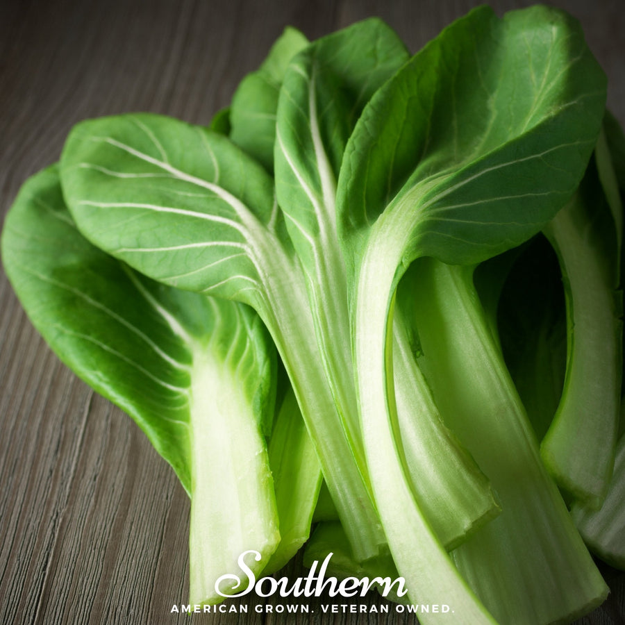 Tatsoi Mustard