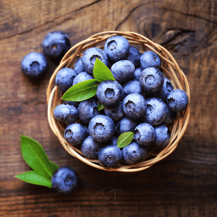 Northern Highbush Blueberry