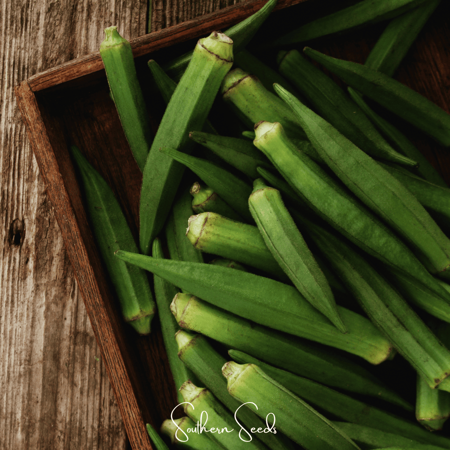 Jambalaya Okra