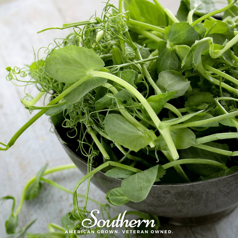 Field Shoots Peas