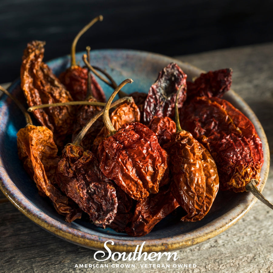 Ghost Pepper — Red Bhut Jolokia