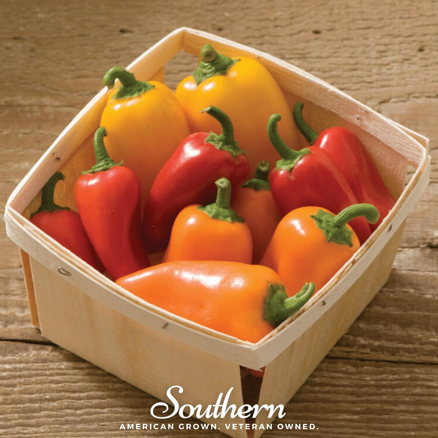 Lunchbox Sweet Pepper