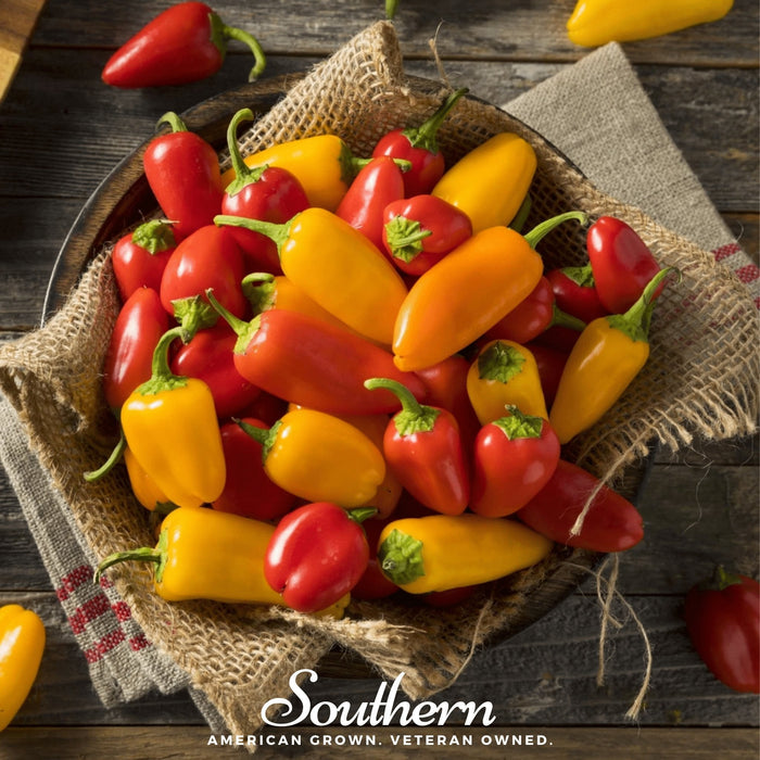 Lunchbox Sweet Pepper