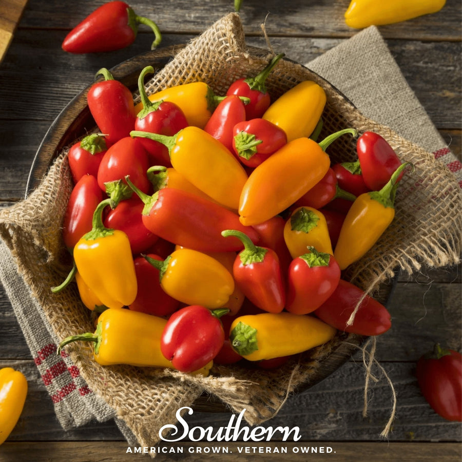 Lunchbox Sweet Pepper