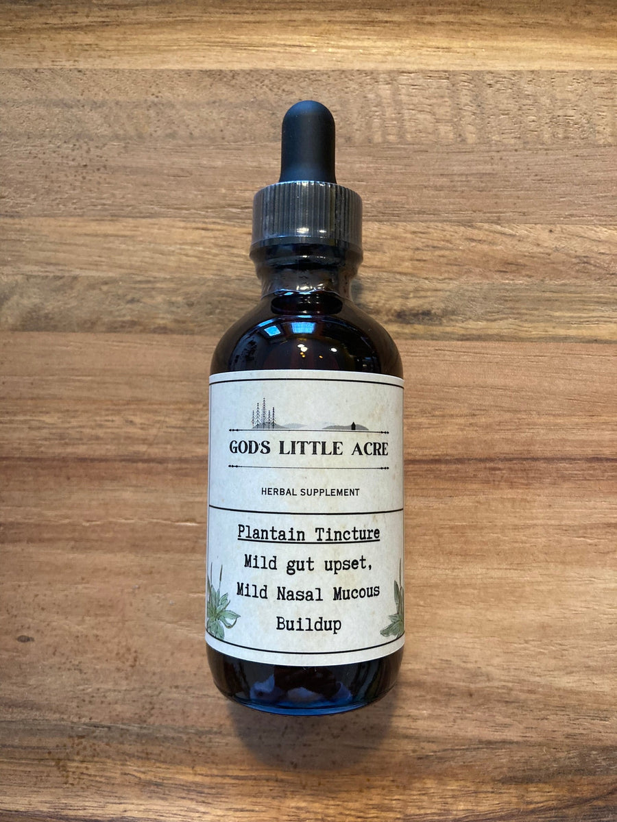 Plantain Tincture in its amber glass bottle with dropper with supplier branding