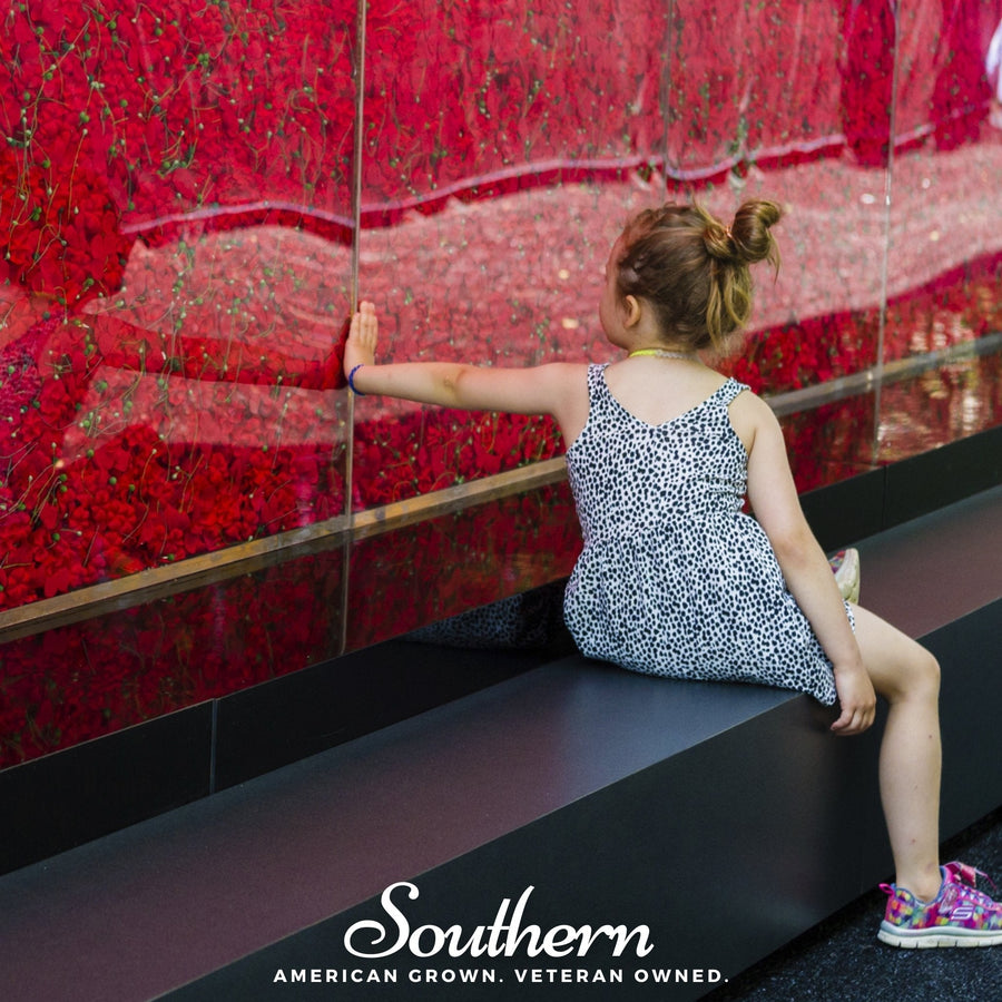 Red Poppy