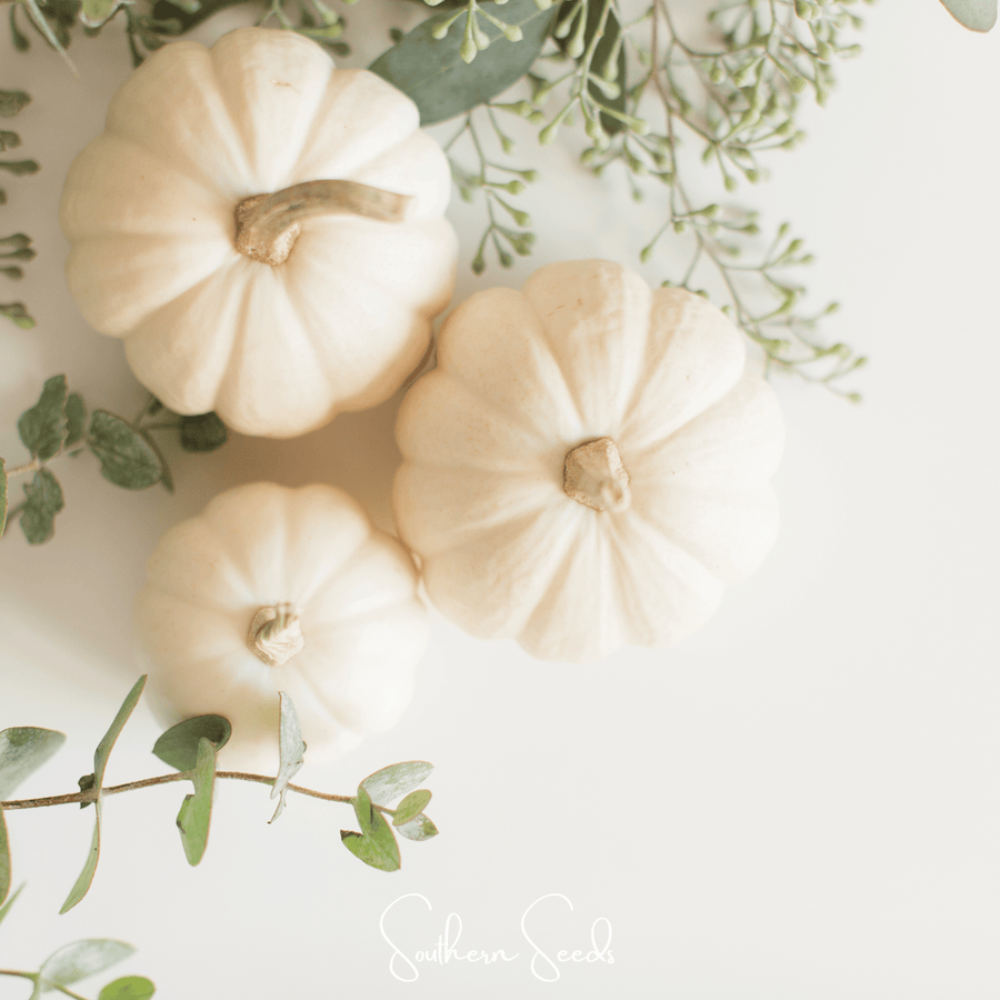 Gooligan Pumpkin