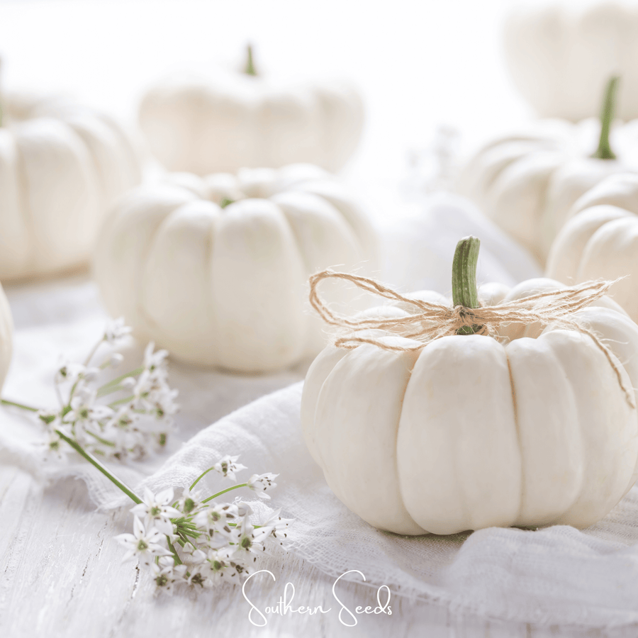 Gooligan Pumpkin